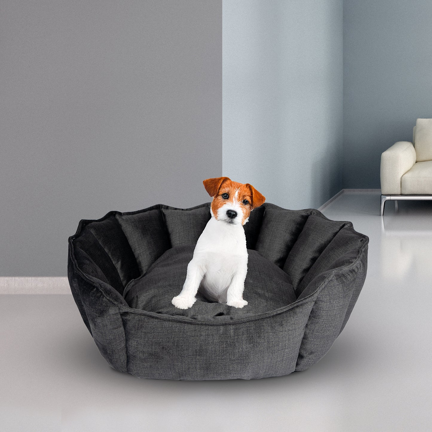 Oyster Pet Bed Anthracite