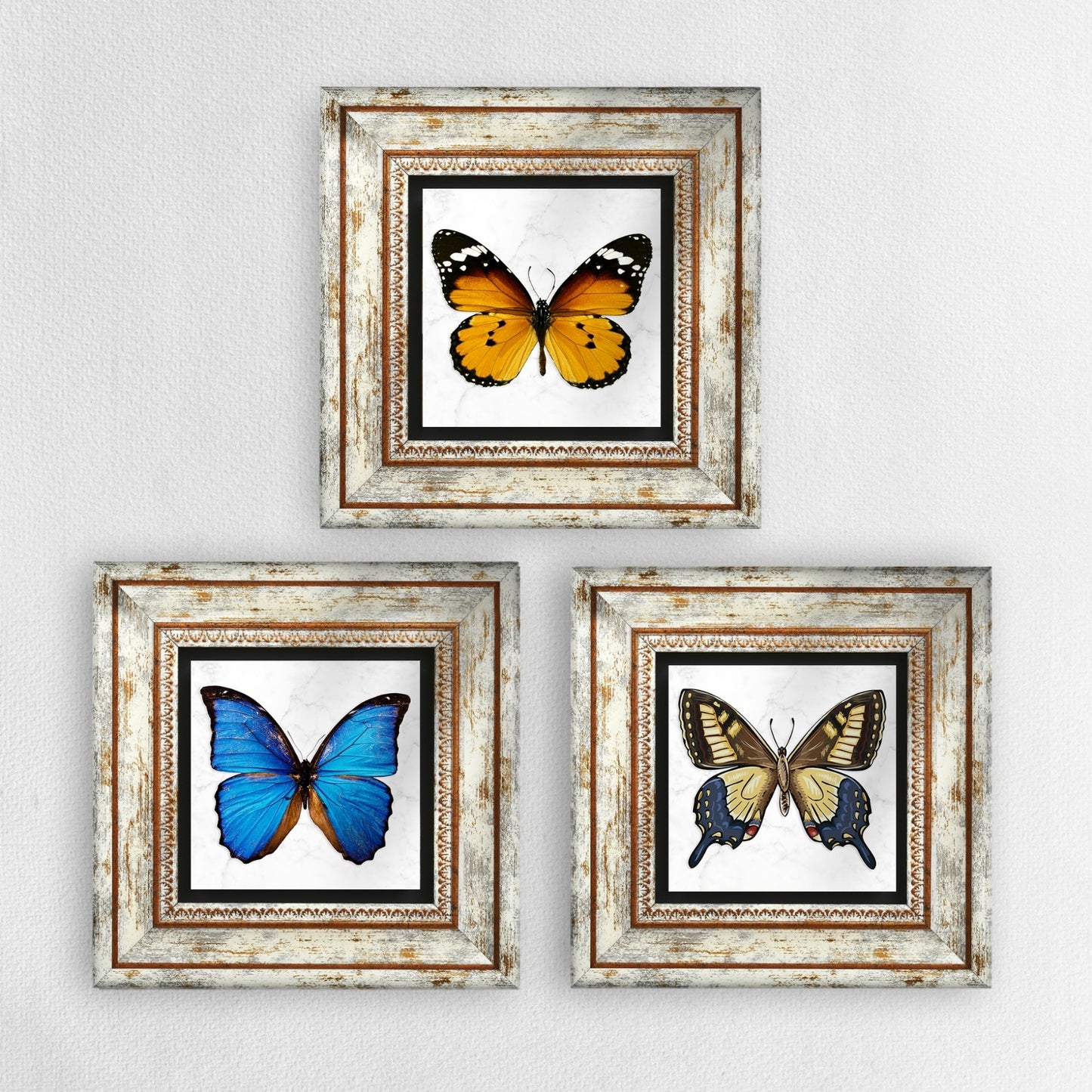 Butterfly Effect Trio Vintage