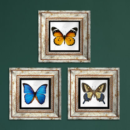 Butterfly Effect Trio Vintage
