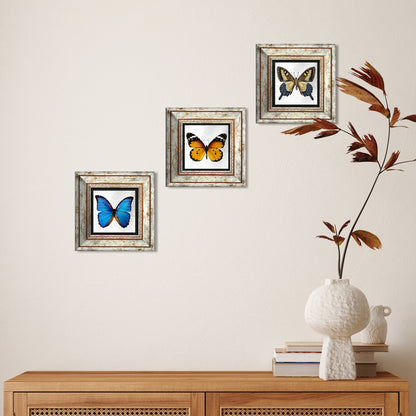 Butterfly Effect Trio Vintage