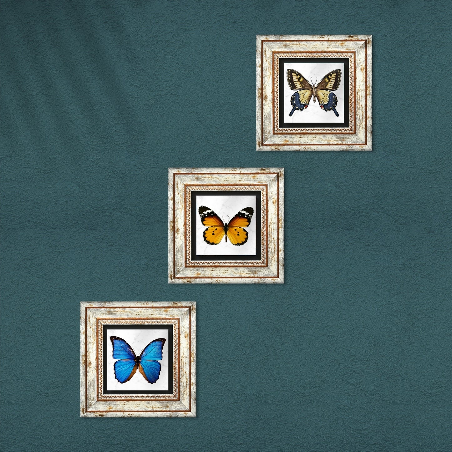 Butterfly Effect Trio Vintage