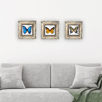 Butterfly Effect Trio Vintage