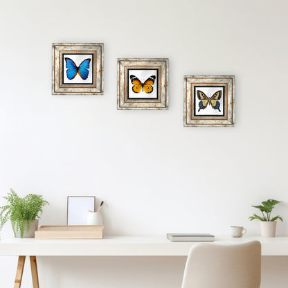 Butterfly Effect Trio Vintage
