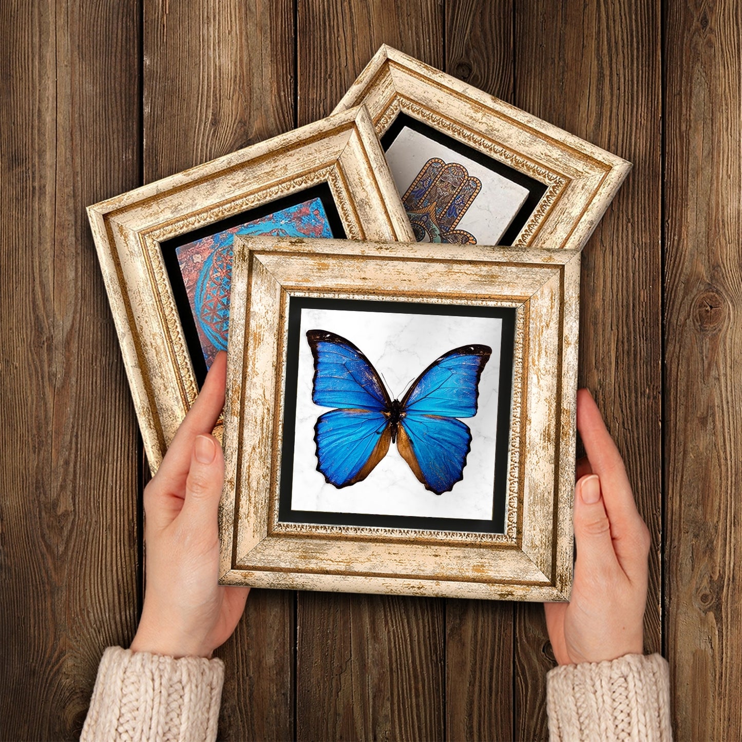 Butterfly Effect Trio Vintage