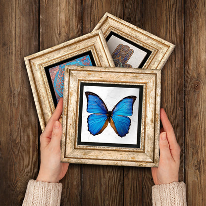 Butterfly Effect Trio Vintage