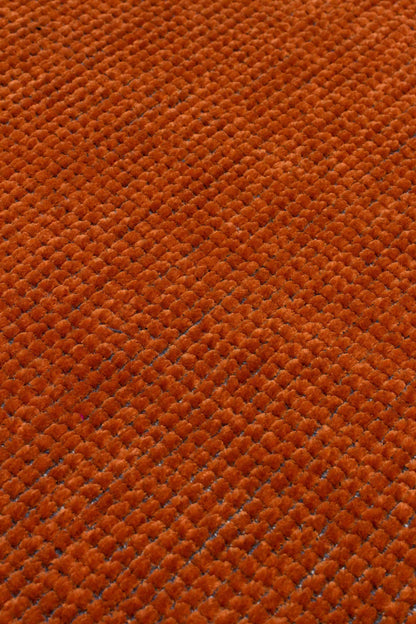 Capri Terra Rug - Pattern Focus | Artistry Home
