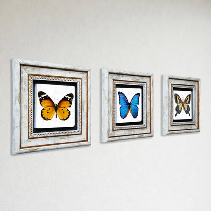 Butterfly Effect Trio Vintage Framed Stone Wall Art