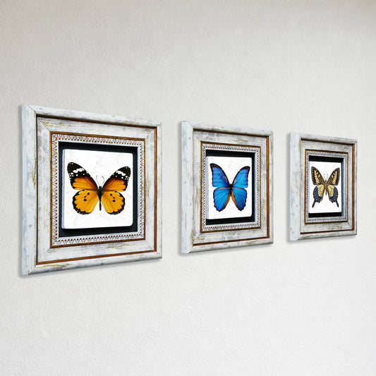 Butterfly Effect Trio Vintage Framed Stone Wall Art