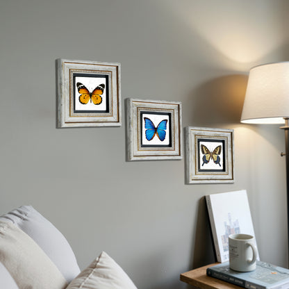 Butterfly Effect Trio Vintage Framed Stone Wall Art