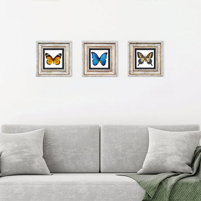 Butterfly Effect Trio Vintage Framed Stone Wall Art