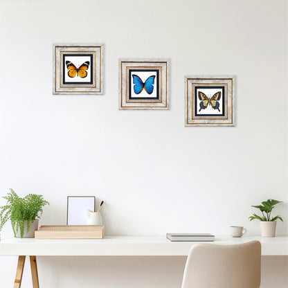 Butterfly Effect Trio Vintage Framed Stone Wall Art
