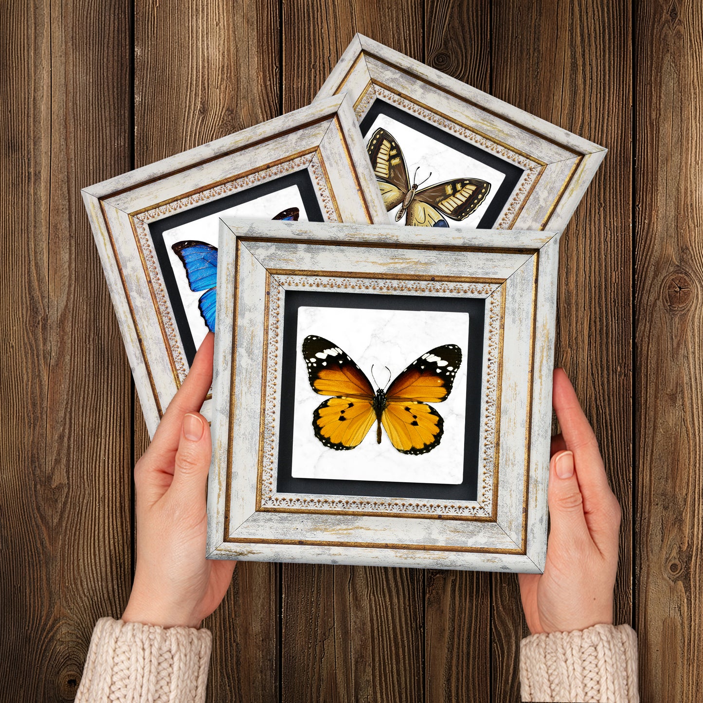 Butterfly Effect Trio Vintage Framed Stone Wall Art