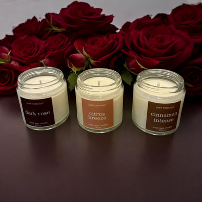 Velvet Nights Soy Candle Set