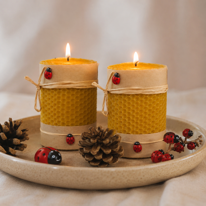 Ladybird Beeswax Candle Set of 2