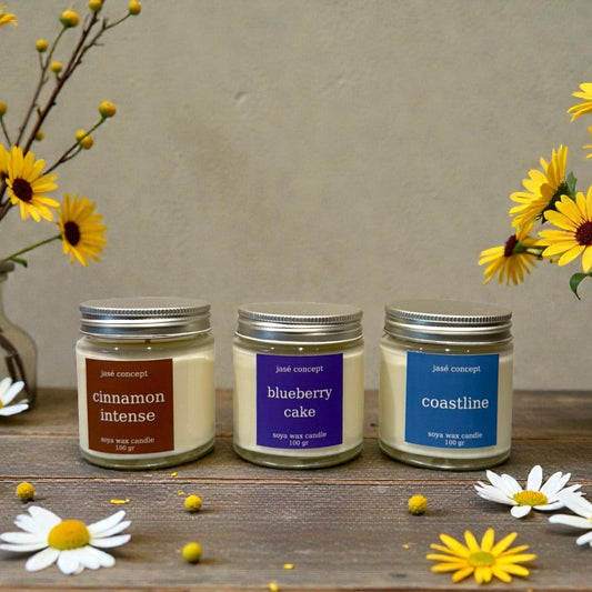 Secret Garden Soy Wax Candle Set - Blueberry, Cinnamon, Coastal